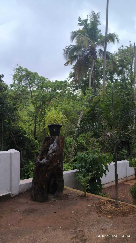 Jangala Resort