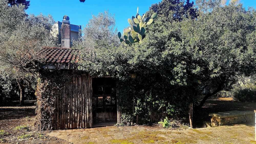 La Pineta