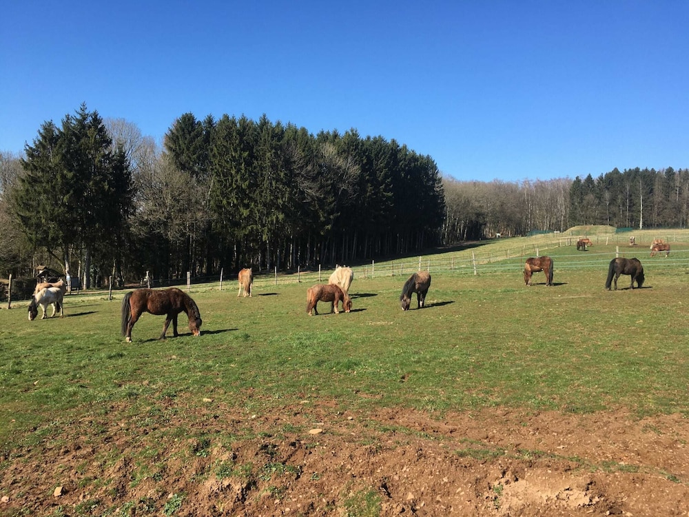Holiday Home Near Lake and Leisure in Clos du Bannet