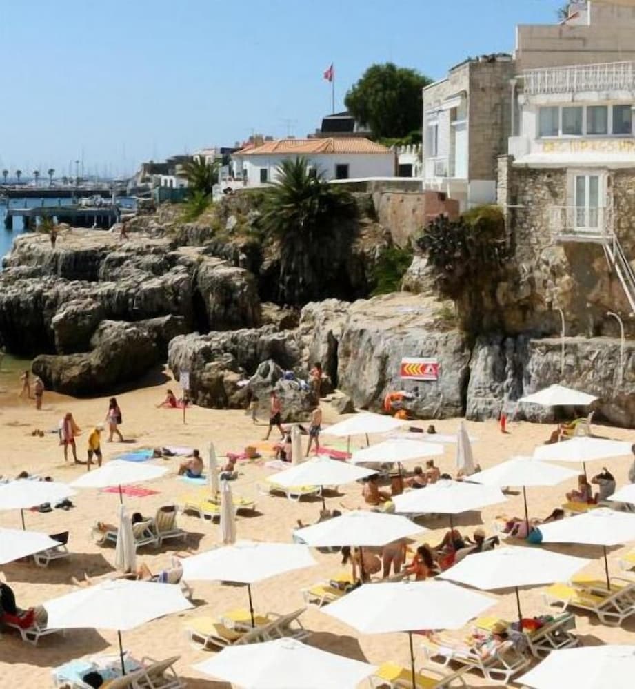 Palm Guesthouse