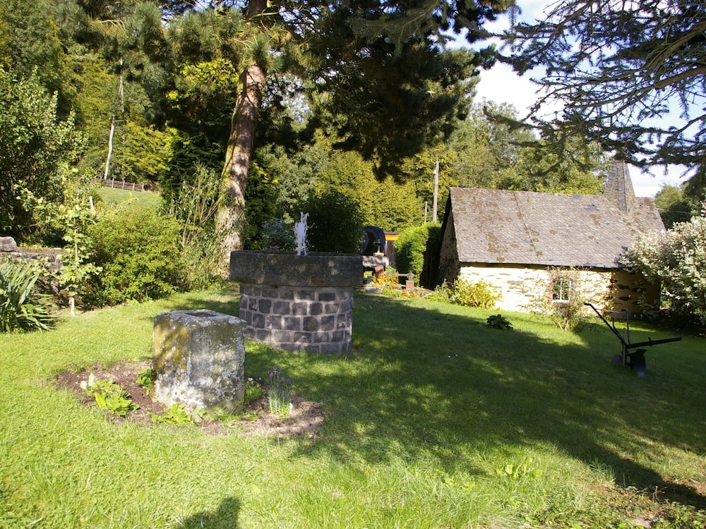 Photo 15