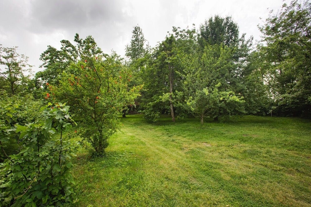 Oykum Villa Sapanca