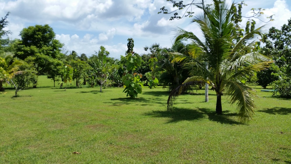 Rock Farm Guest House