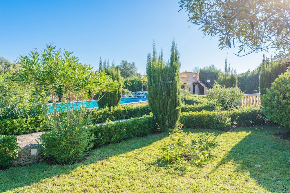 Hibiscus in Sa Pobla photo 3