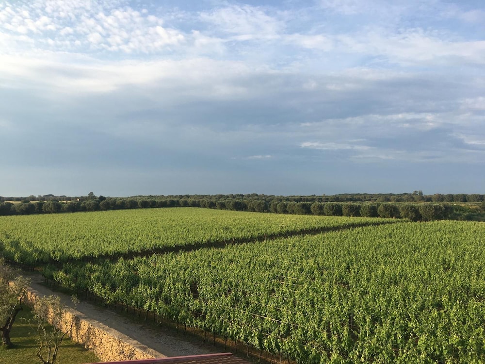 Masseria San Polo