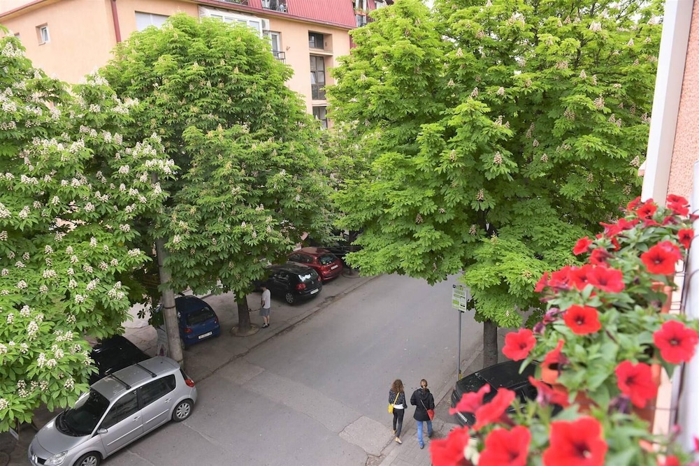 Photo 28