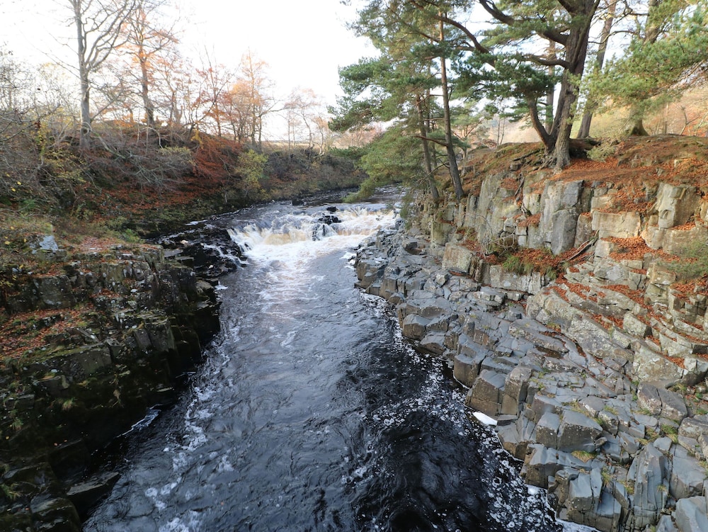 Photo 46