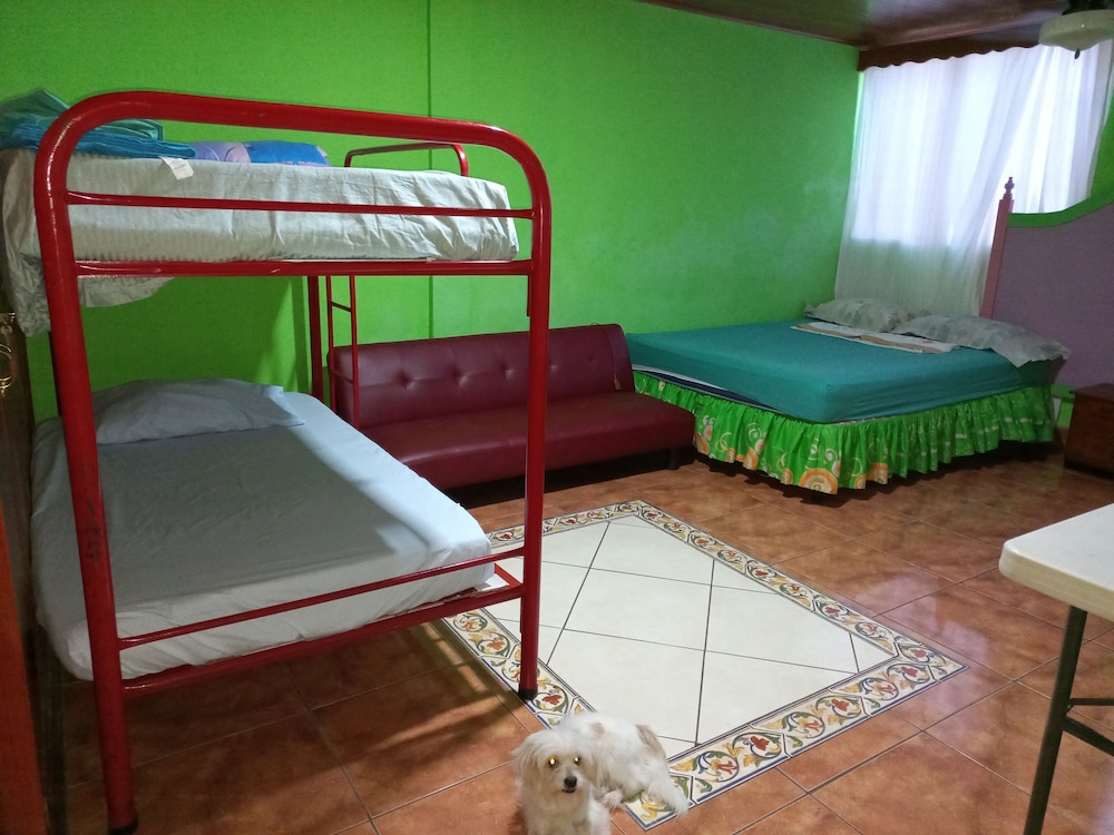 Photo 23