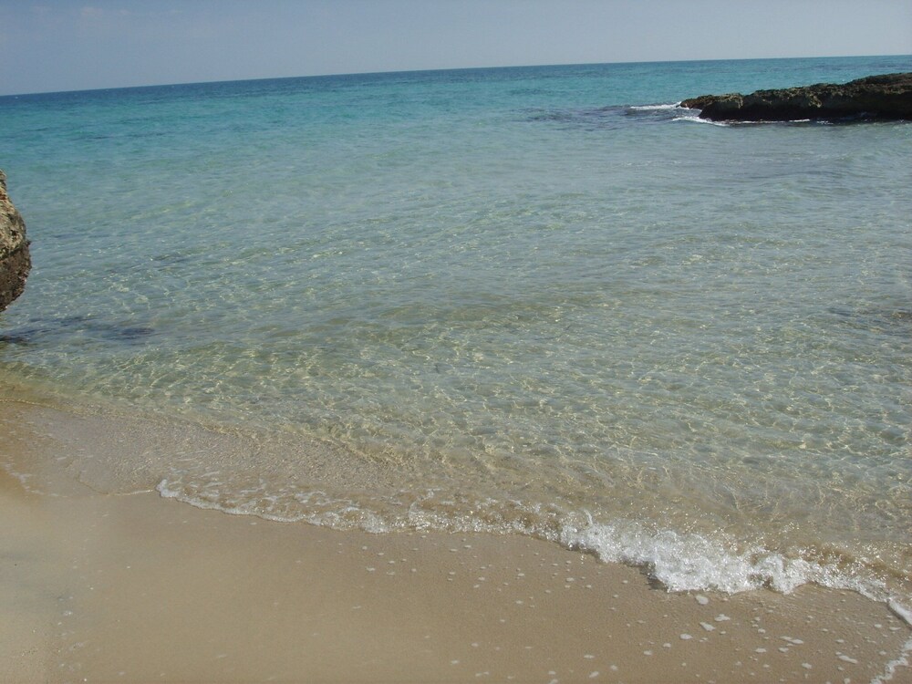 Photo 42