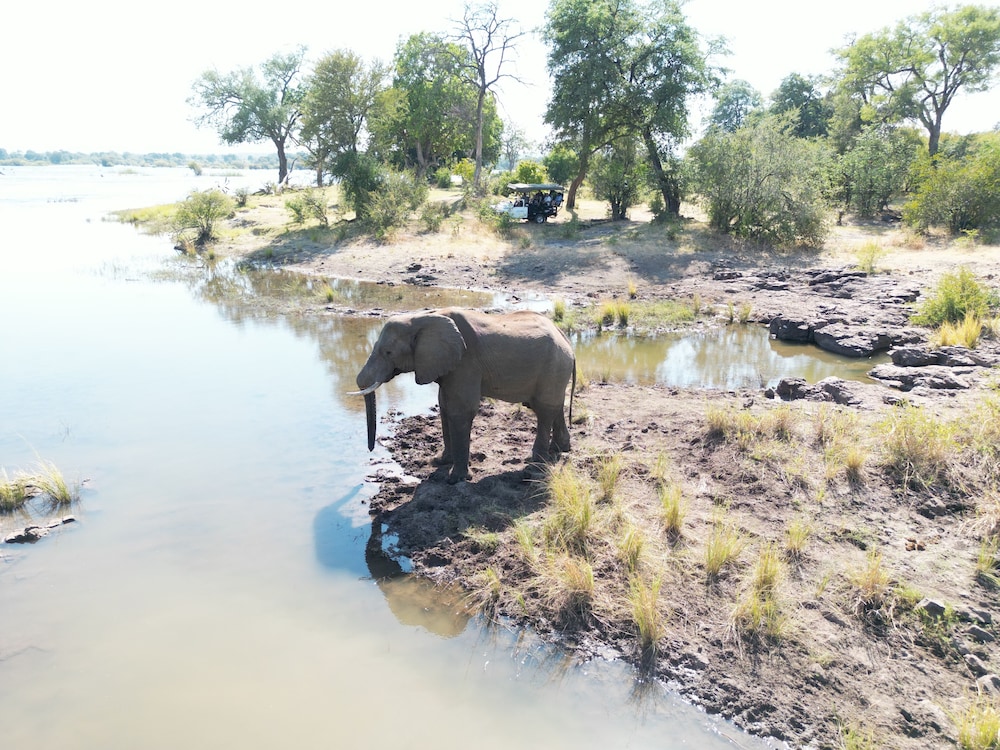 Mopani Lodge