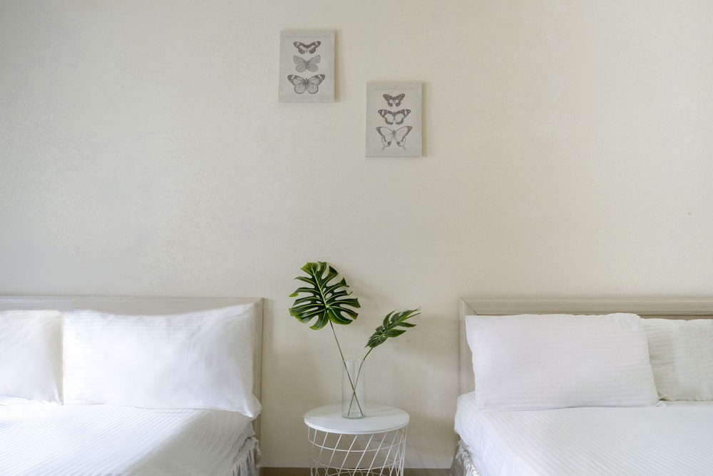 Rabbit house hotel