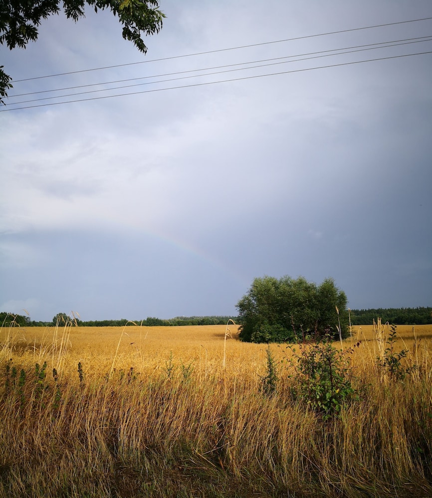 Domki Drewniane Świętne