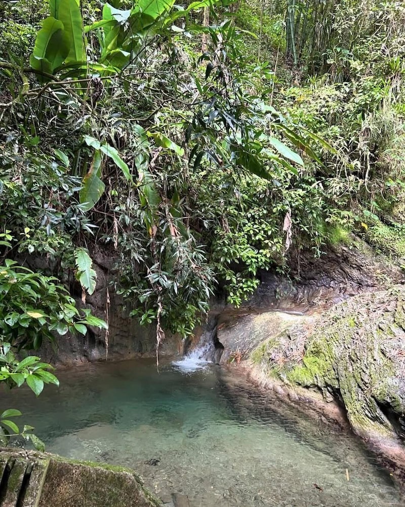 Cabang Campsite