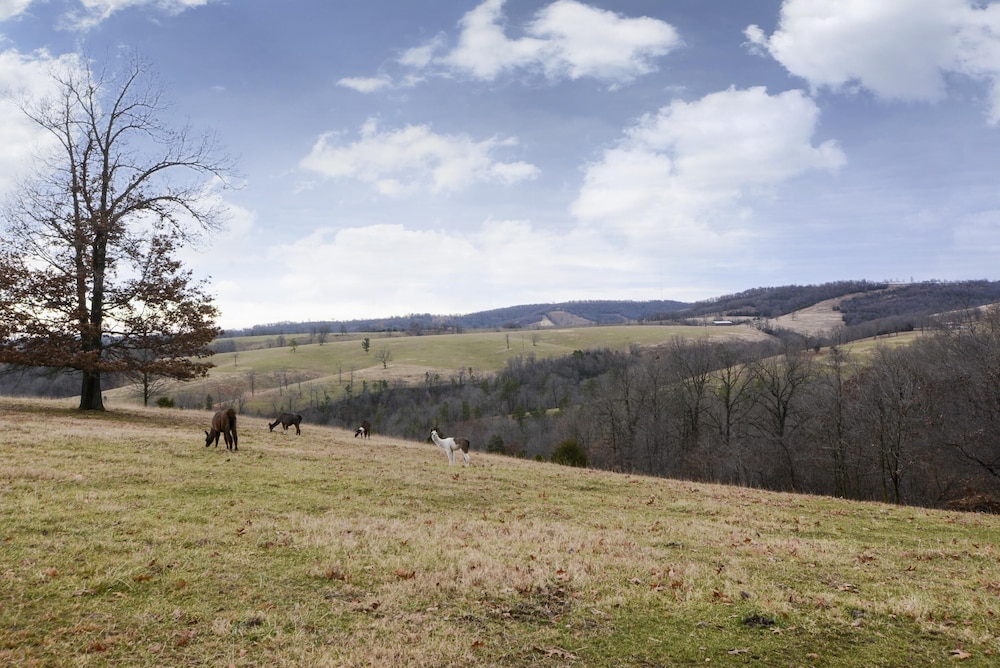 Omaha Vacations - Llama House - Property Image 30