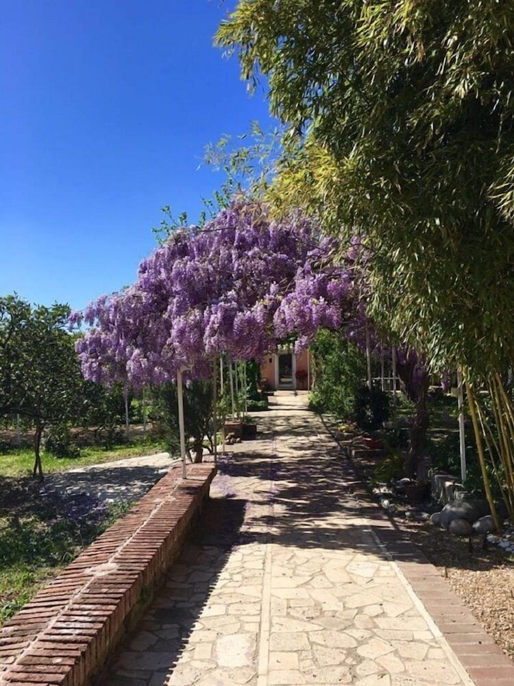 Casale Del Gelso