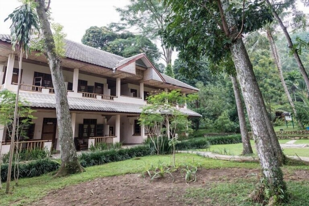 Hotel Ecolodge Bukit Lawang - Image 1