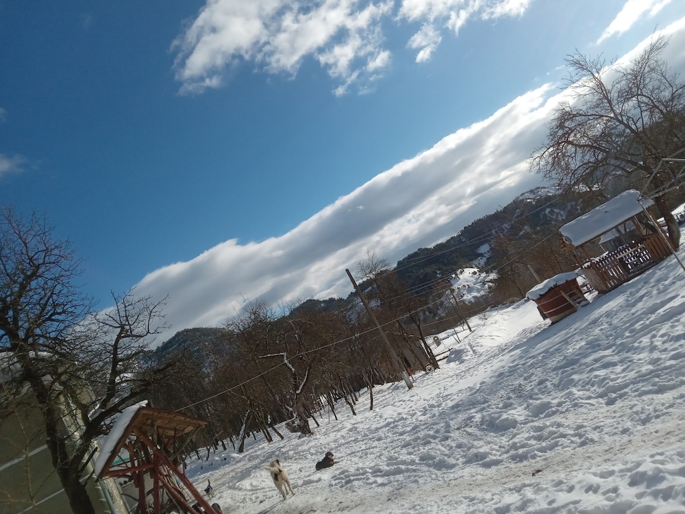 Photo 41