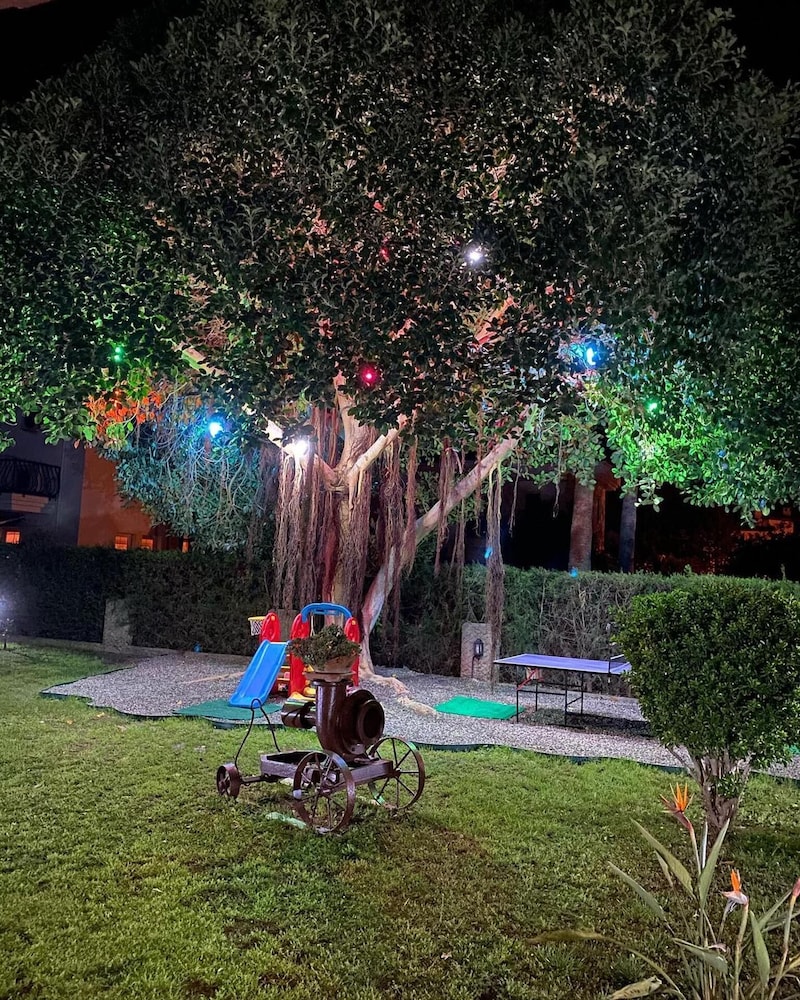 Photo 18