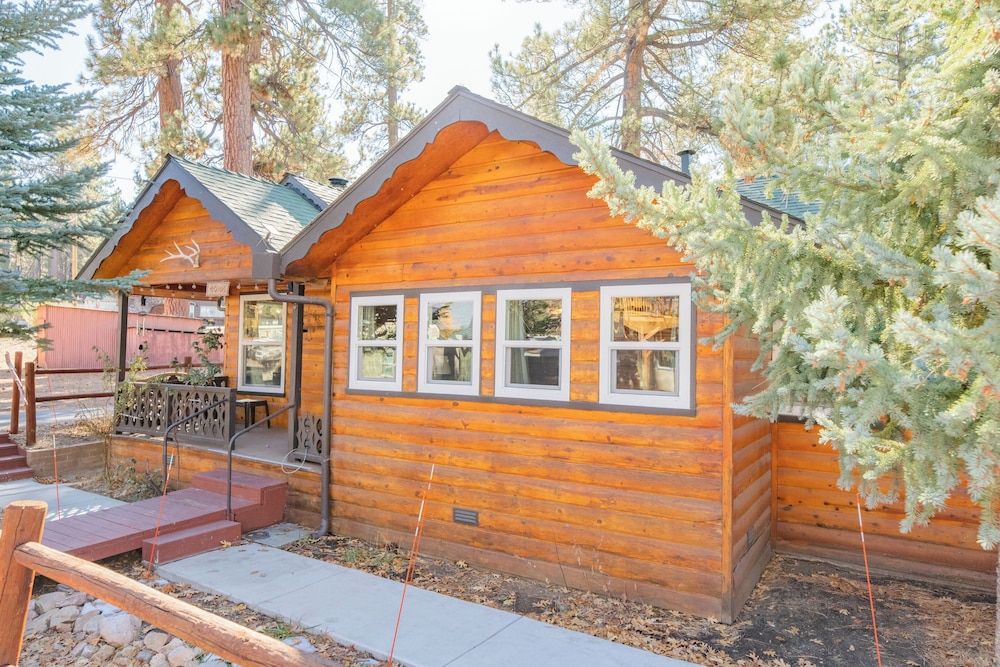Pine Forest Cabin