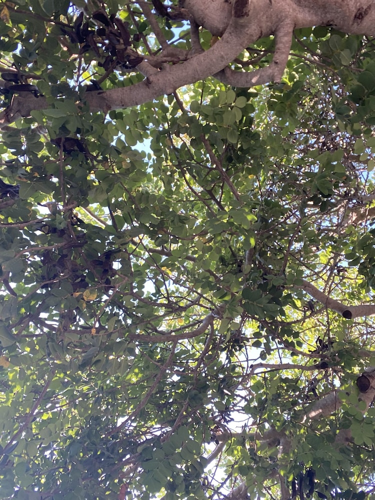 Agriturismo Il Melograno
