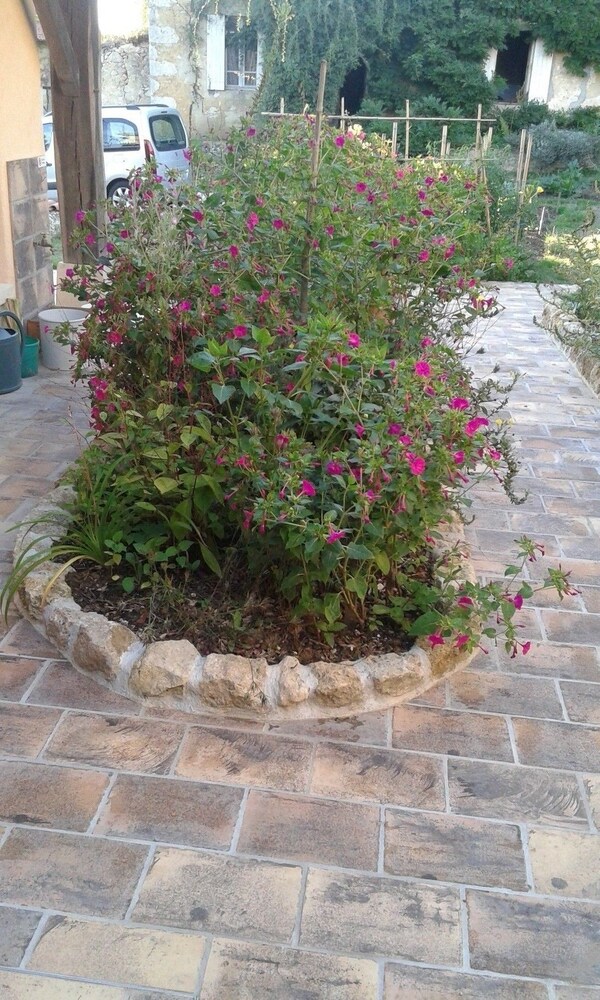 Photo 15