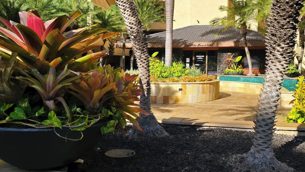 Polo Beach Club Vacation Rentals - APlus Resorts