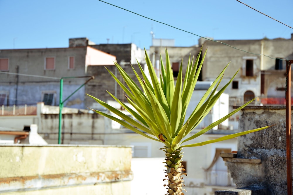 Casa Antica Canosa, photo 12