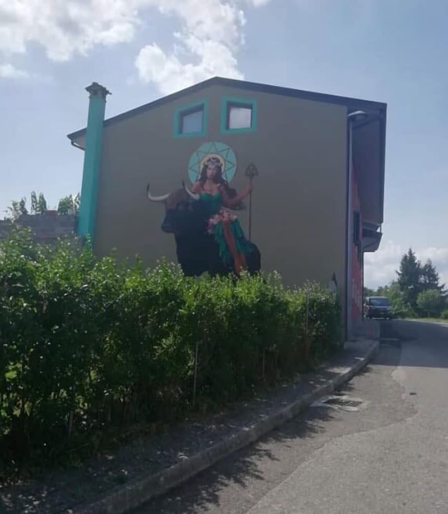 Photo 19