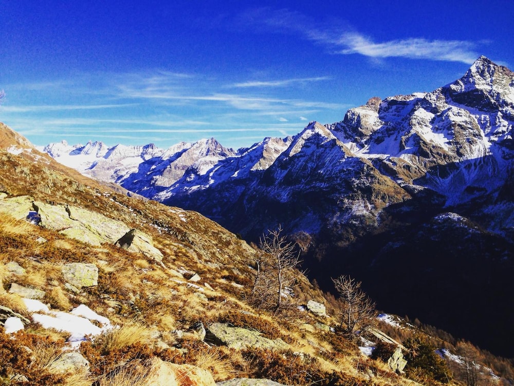 other