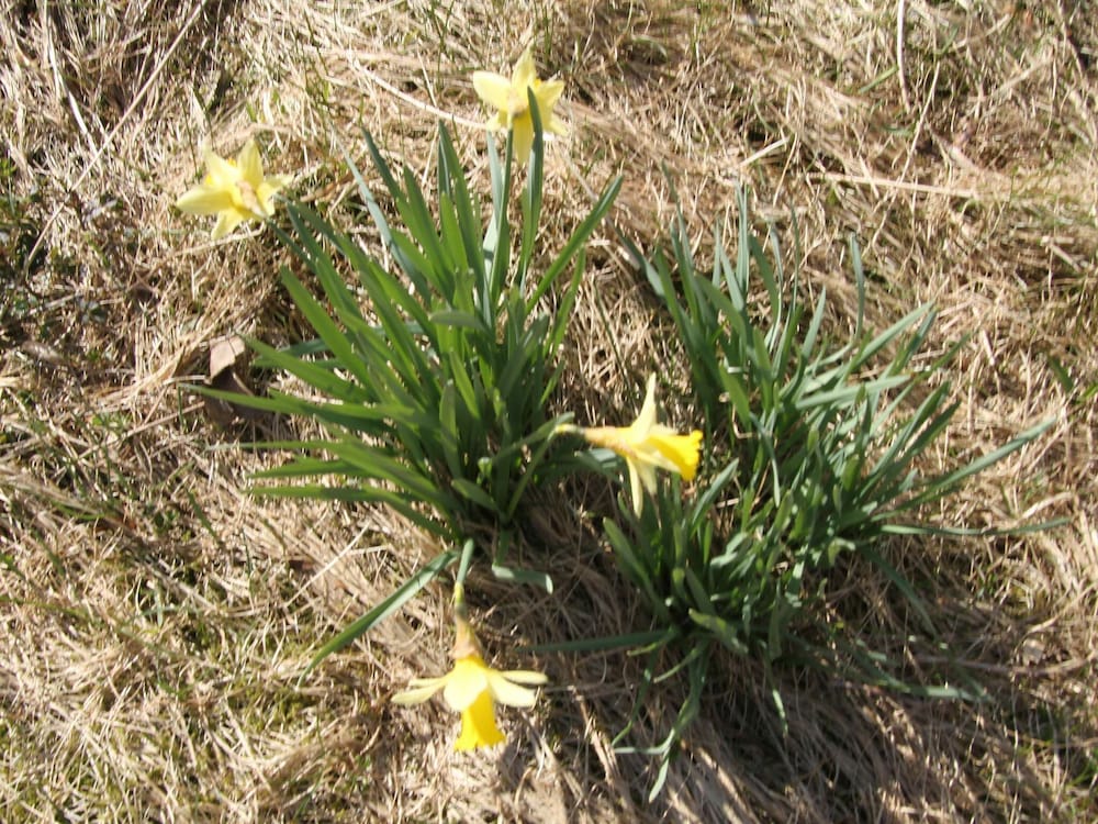 Photo 13