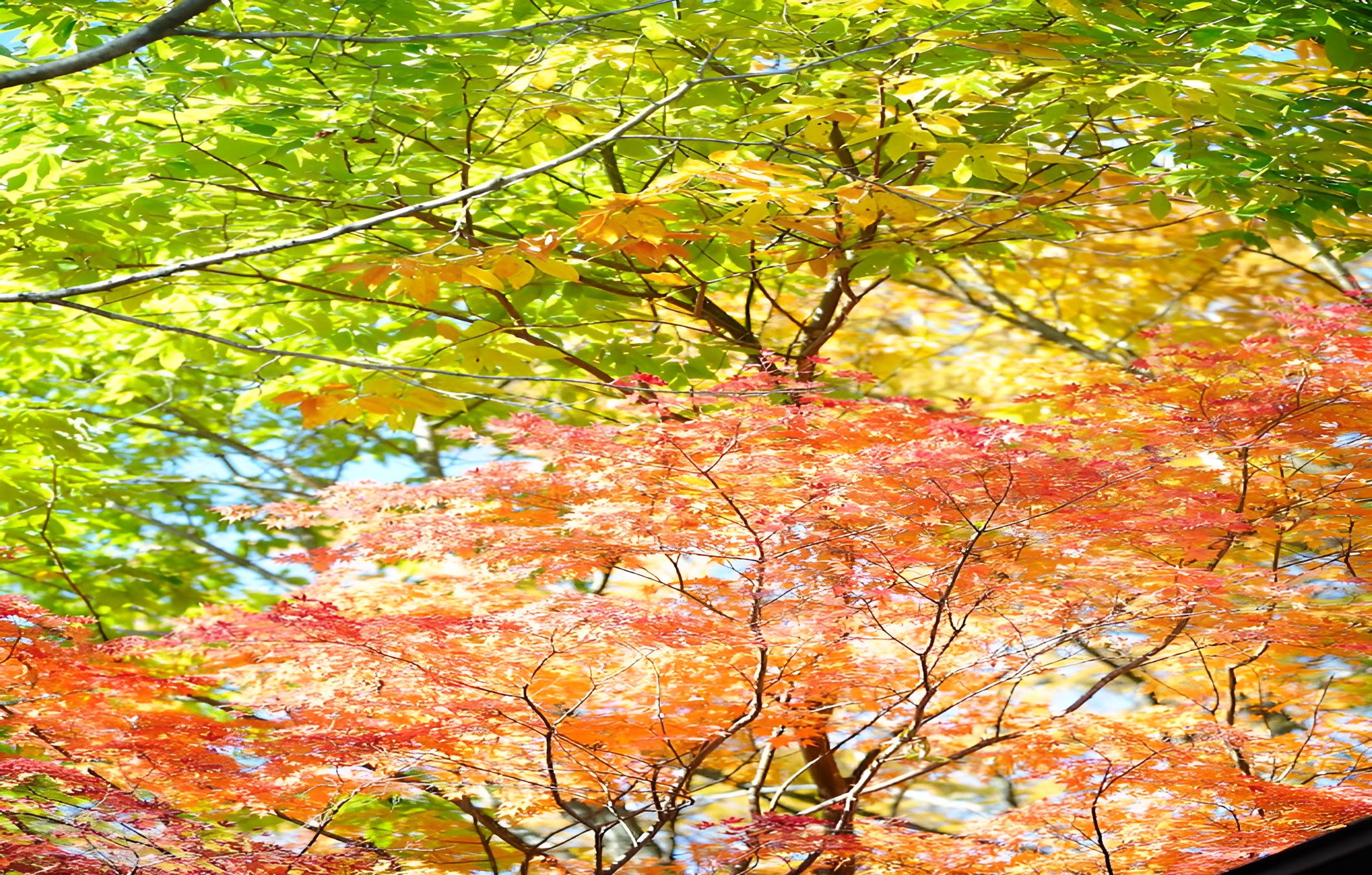 Ryokan Ikoisanso