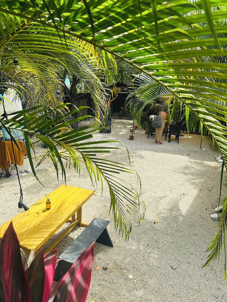 Surf Paradise