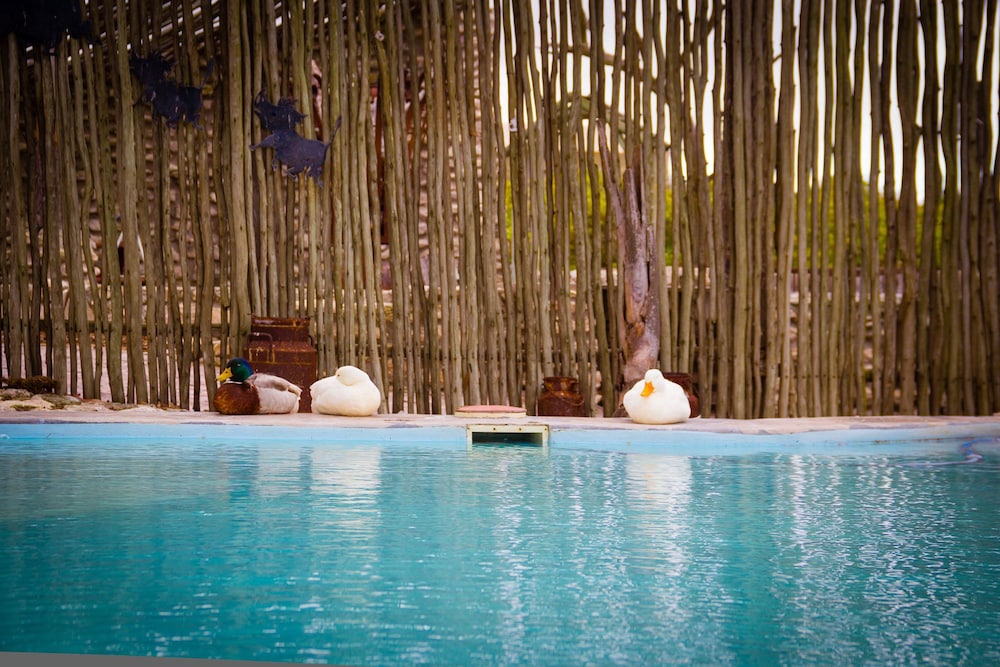 Thali Thali Game Lodge