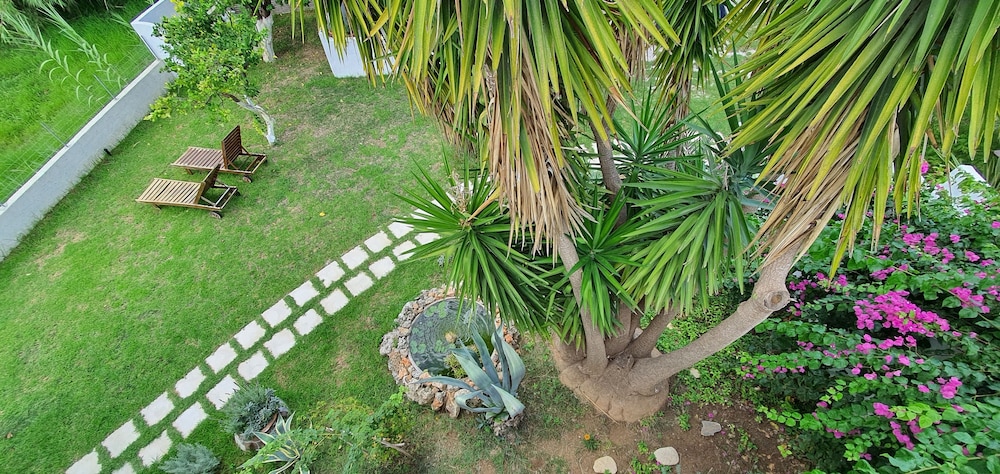 Photo 43
