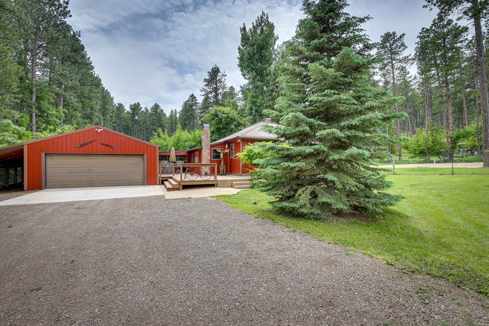 Rustic Sturgis Cabin Rental in Black Hills Forest! view 4
