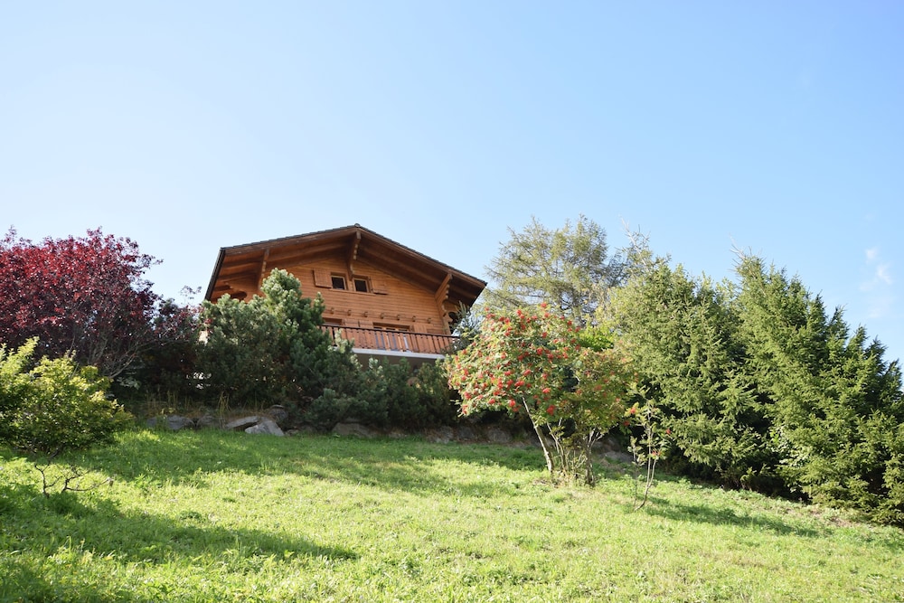 Photo 10