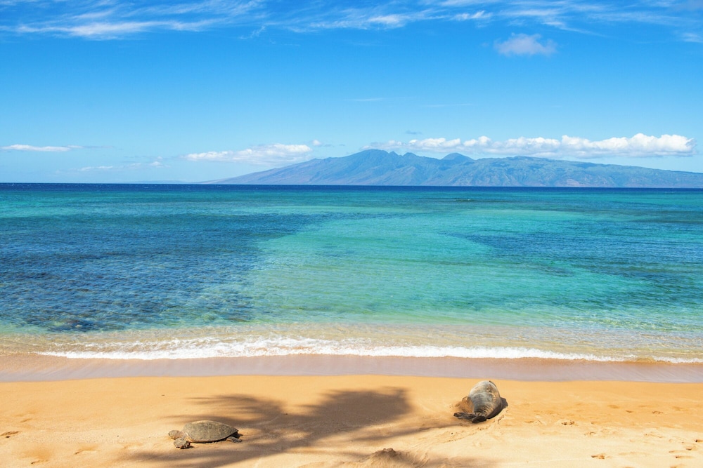 Hale Mahina B304