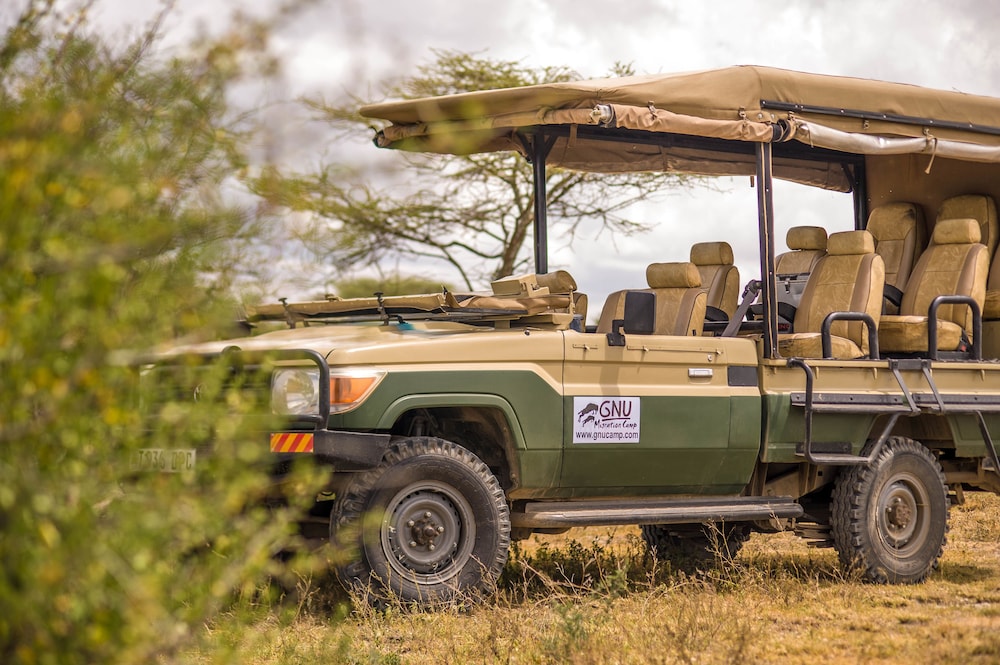 Gnu Ndutu Camp
