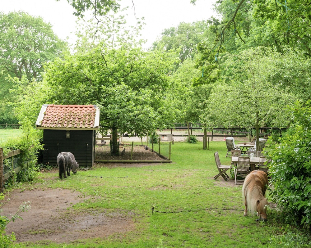Secluded Farmhouse in Balkbrug with Hot Tub view 5