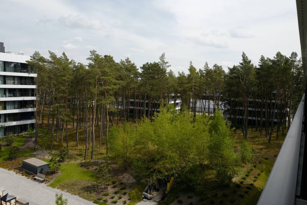 Art Forrest 33 K in Rogowo