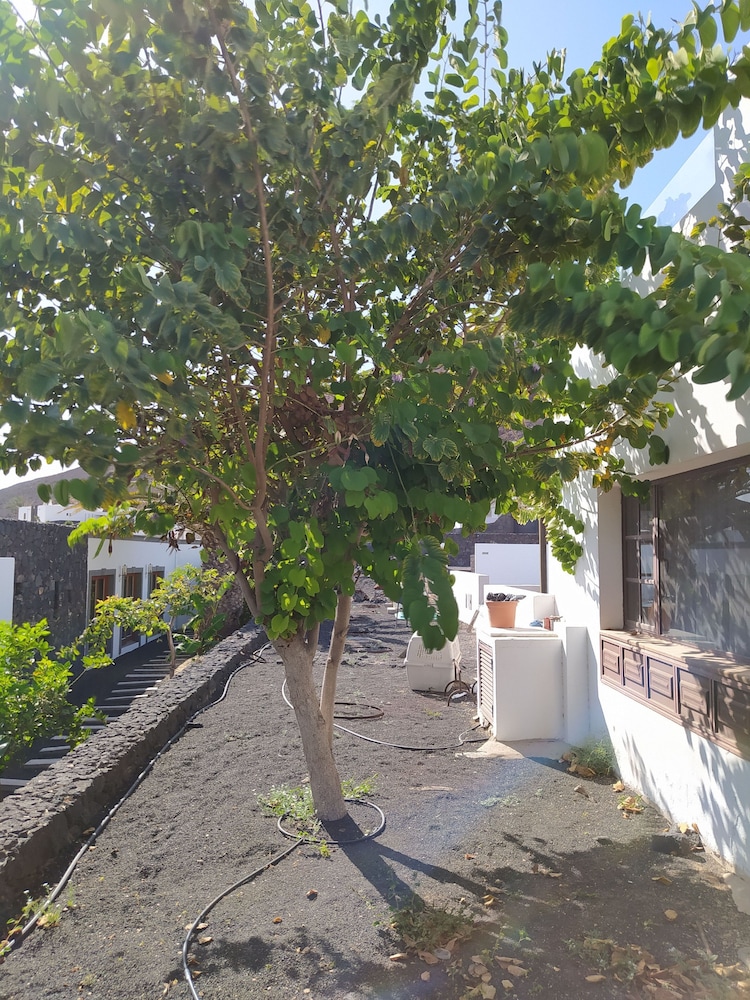 Under the Volcano in Playa Blanca Lanzarote photo 4