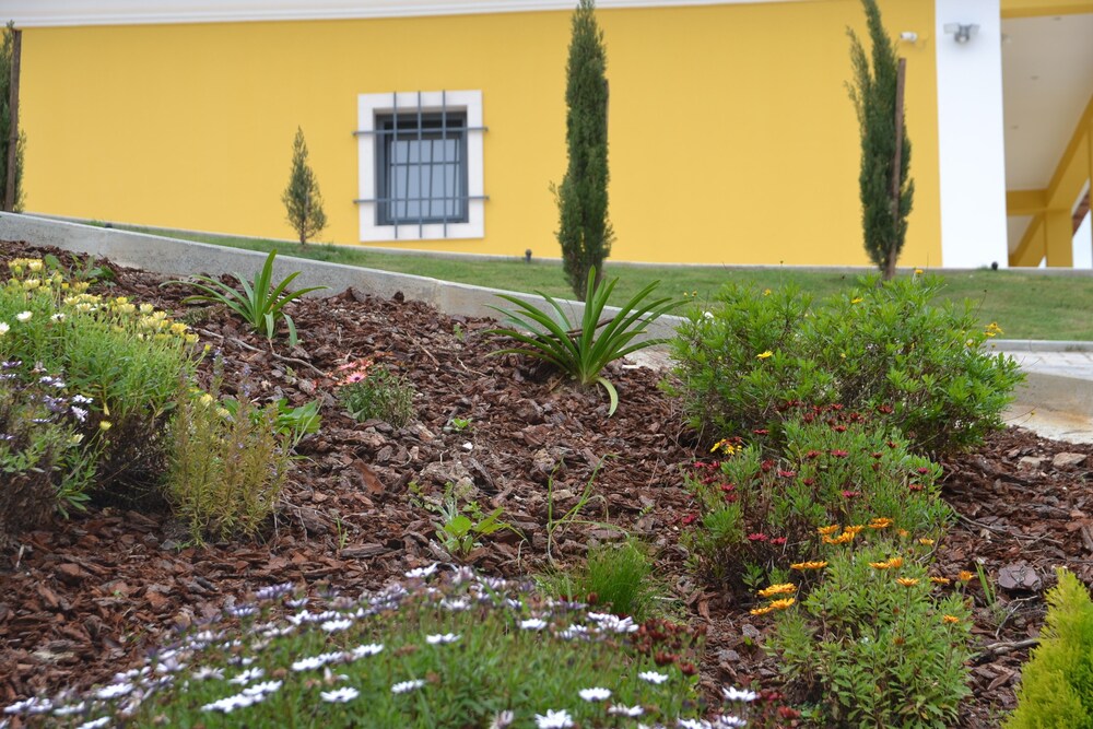 Photo 46