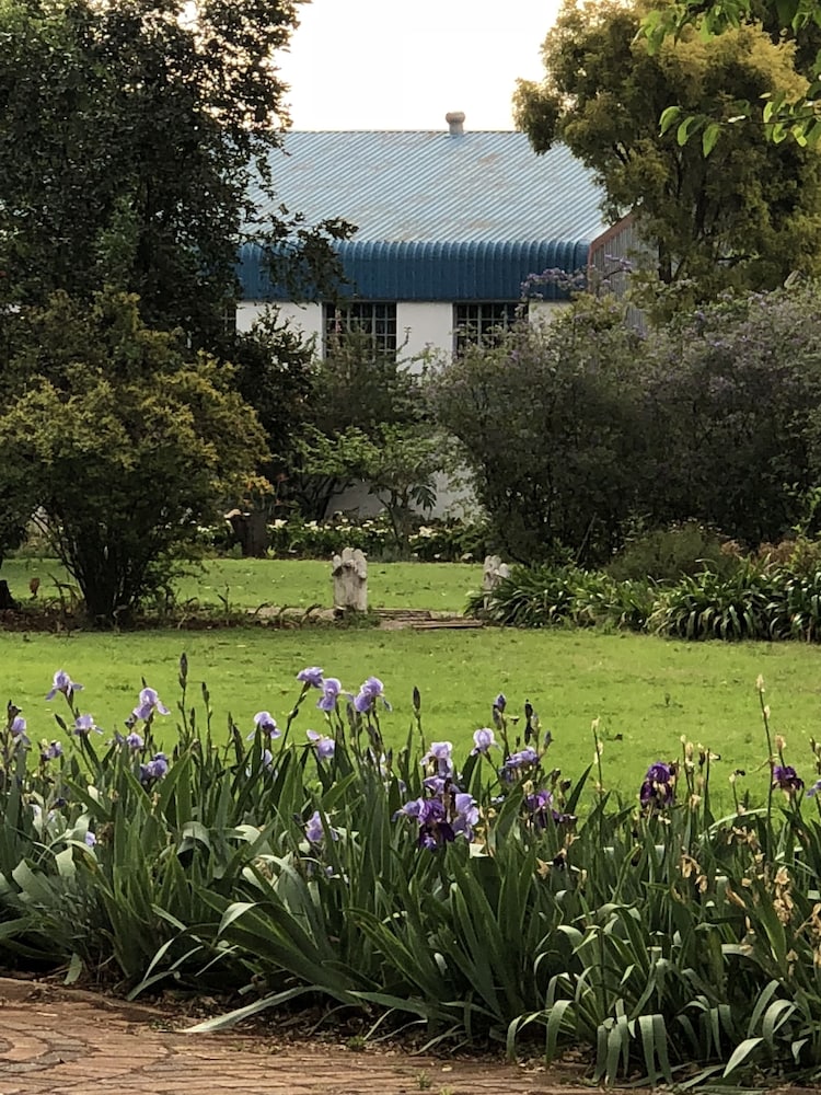 Elsje's Country Inn - Guesthouse