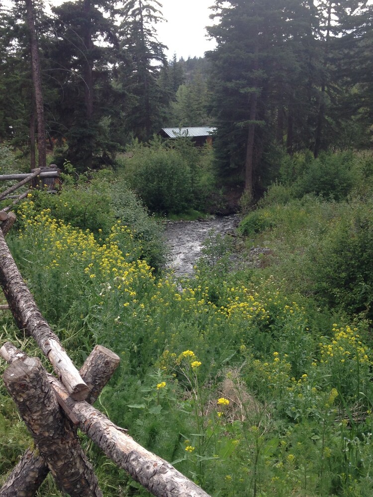 YD Guest Ranch