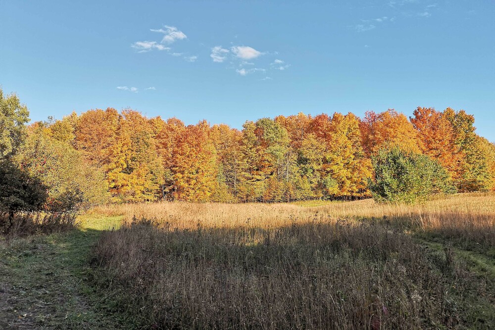 Wilderness Retreat  Cross-country Ski Center! - Property Image 2