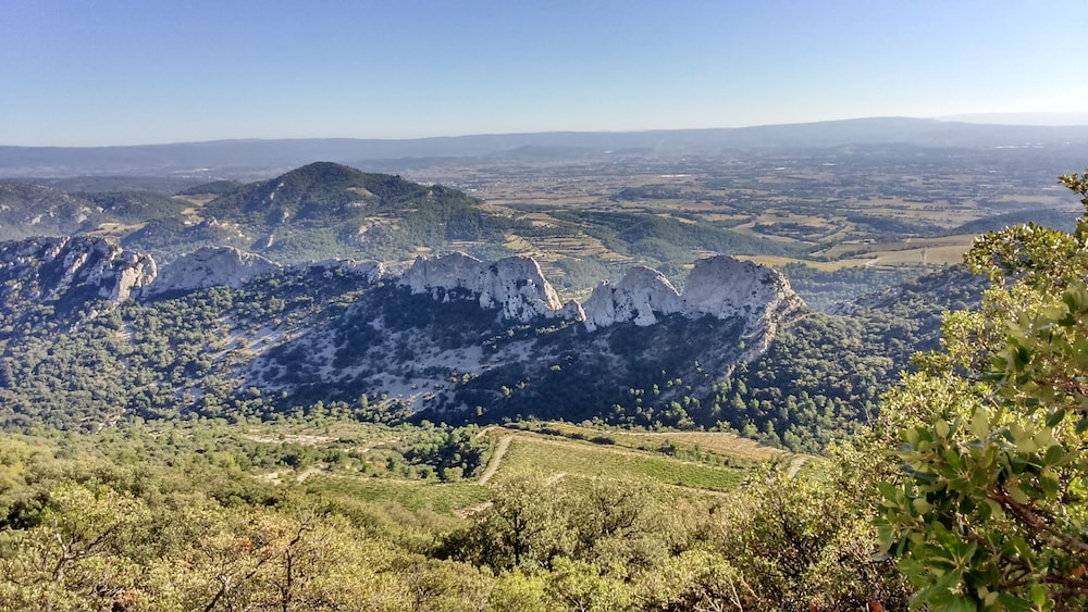 Mas de Cocagne en Provence