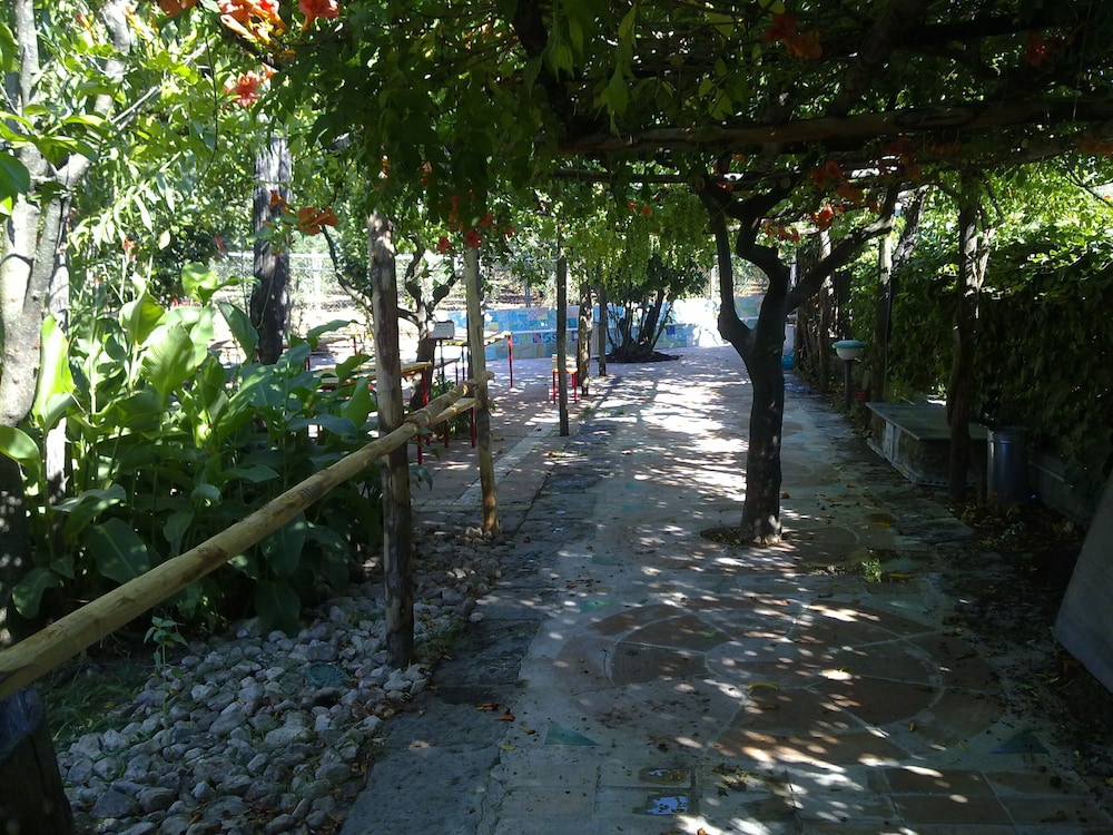 Photo 19