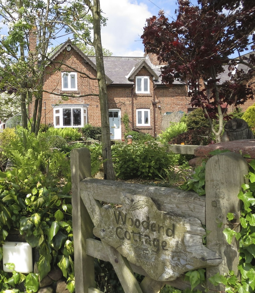 Brush and Boot B&B