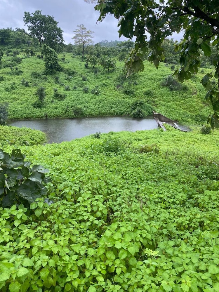 Growpure Luxury Farm & Nature Resort