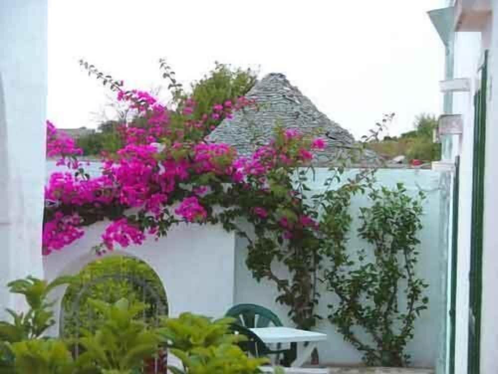 Photo 40